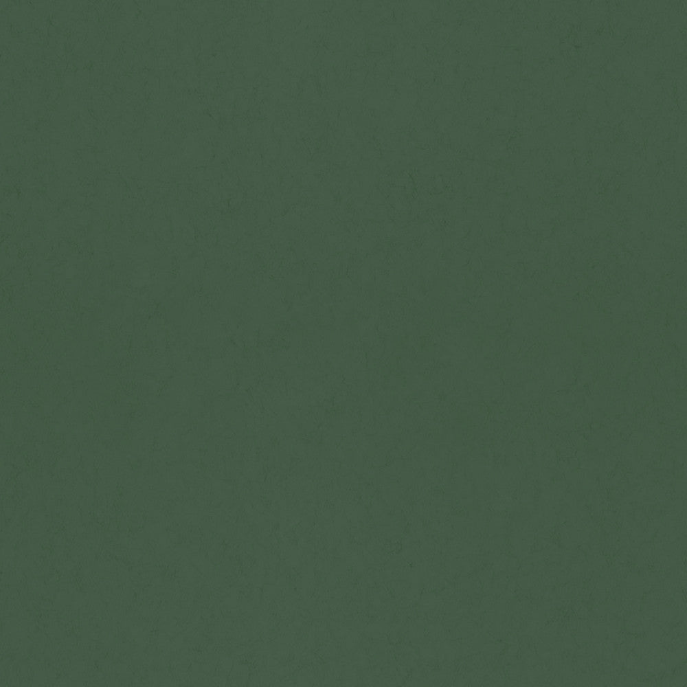 Parget Eklöv Dark Green Textured Wallpaper by A-Street Prints Hidden Treasures Covers about 57.5 square feet 20.9-in by 33-ft long roll Unpasted 0 - Fabric Carolina -