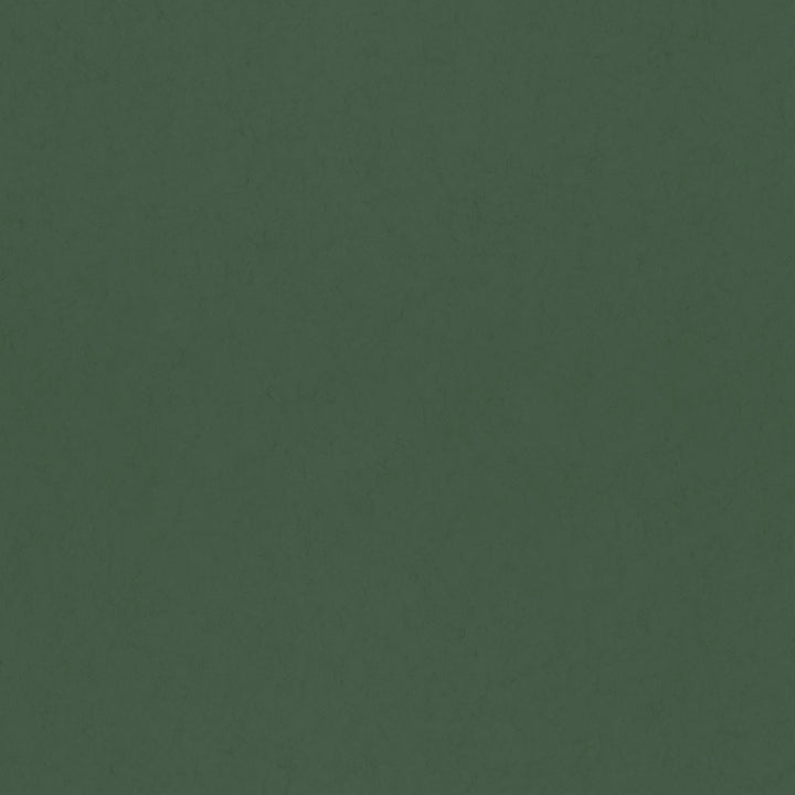 Parget Eklöv Dark Green Textured Wallpaper by A-Street Prints Hidden Treasures Covers about 57.5 square feet 20.9-in by 33-ft long roll Unpasted 0 - Fabric Carolina -