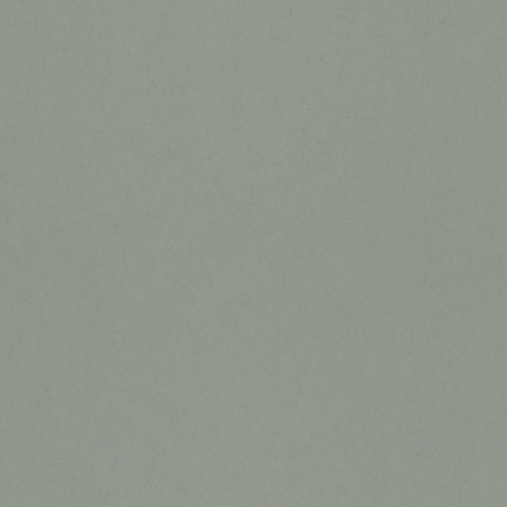 Parget Avokado Green Textured Wallpaper by A-Street Prints Hidden Treasures Covers about 57.5 square feet 20.9-in by 33-ft long roll Unpasted 0 - Fabric Carolina -