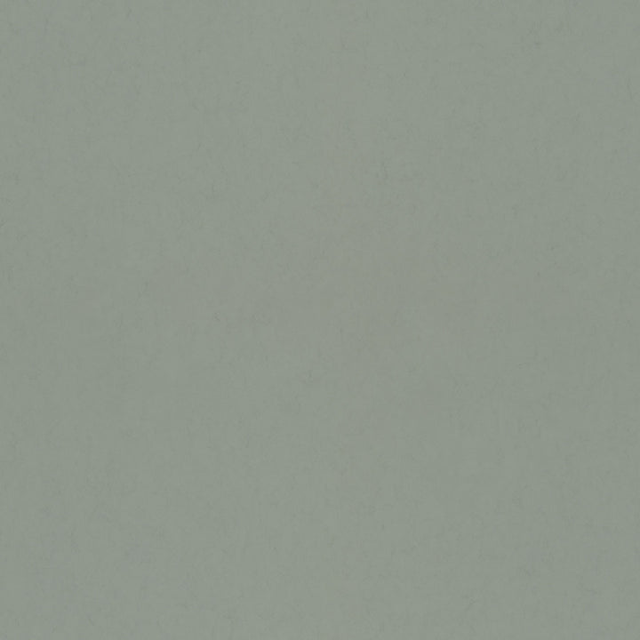 Parget Avokado Green Textured Wallpaper by A-Street Prints Hidden Treasures Covers about 57.5 square feet 20.9-in by 33-ft long roll Unpasted 0 - Fabric Carolina -
