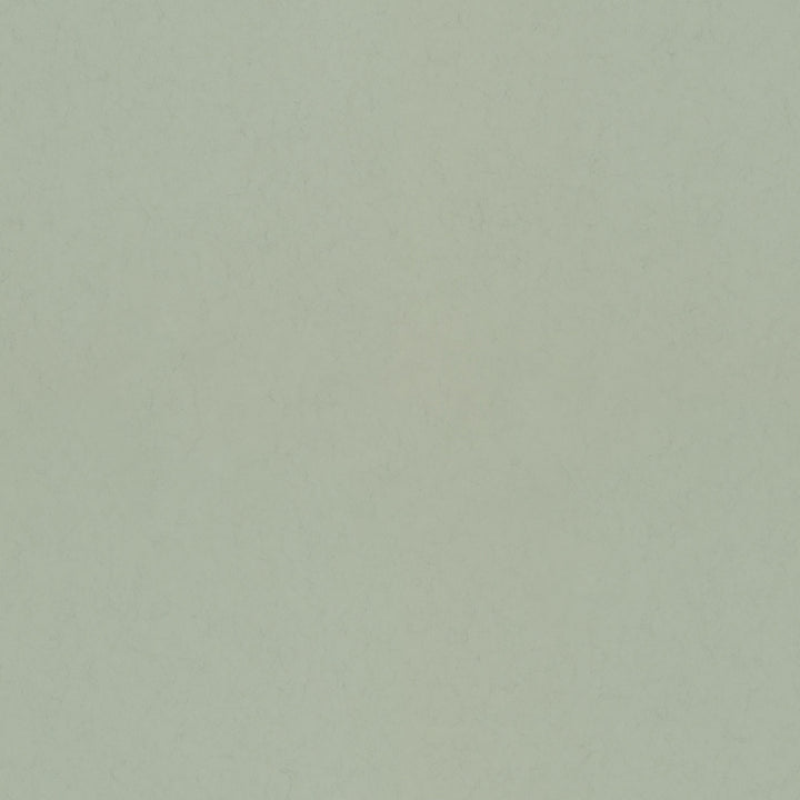 Parget Vår Light Green Textured Wallpaper by A-Street Prints Hidden Treasures Covers about 57.5 square feet 20.9-in by 33-ft long roll Unpasted 0 - Fabric Carolina -