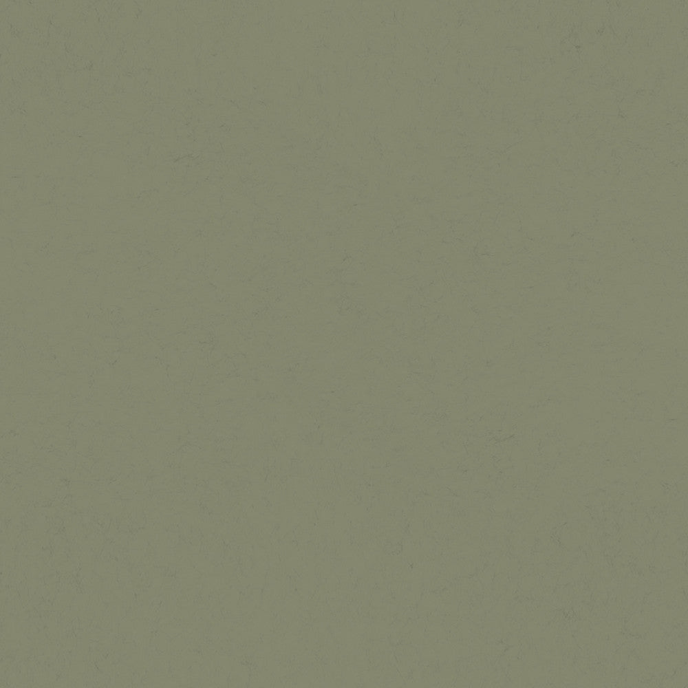 Parget Skog Olive Textured Wallpaper by A-Street Prints Hidden Treasures Covers about 57.5 square feet 20.9-in by 33-ft long roll Unpasted 0 - Fabric Carolina -
