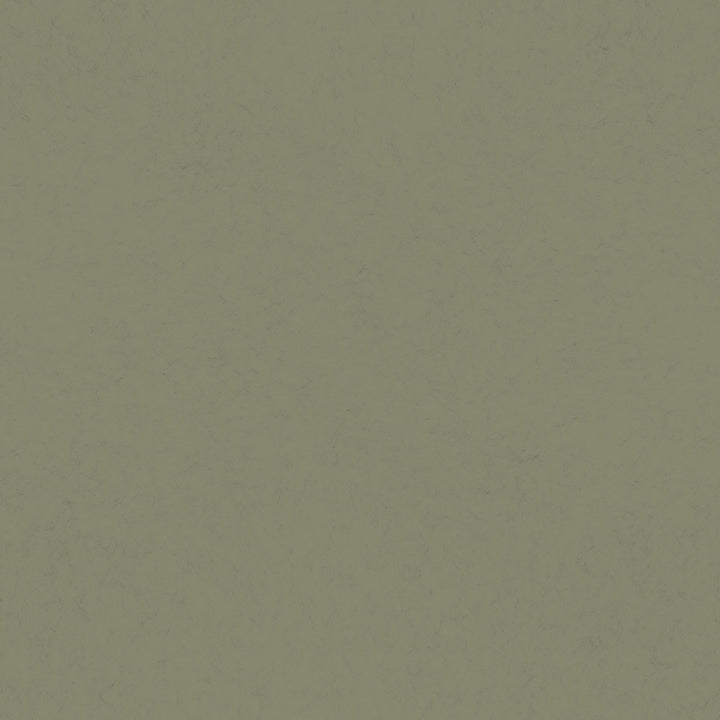 Parget Skog Olive Textured Wallpaper by A-Street Prints Hidden Treasures Covers about 57.5 square feet 20.9-in by 33-ft long roll Unpasted 0 - Fabric Carolina -