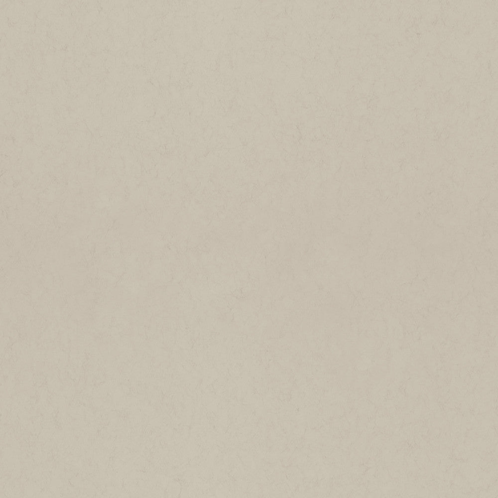 Parget Sand Taupe Textured Wallpaper by A-Street Prints Hidden Treasures Covers about 57.5 square feet 20.9-in by 33-ft long roll Unpasted 0 - Fabric Carolina -