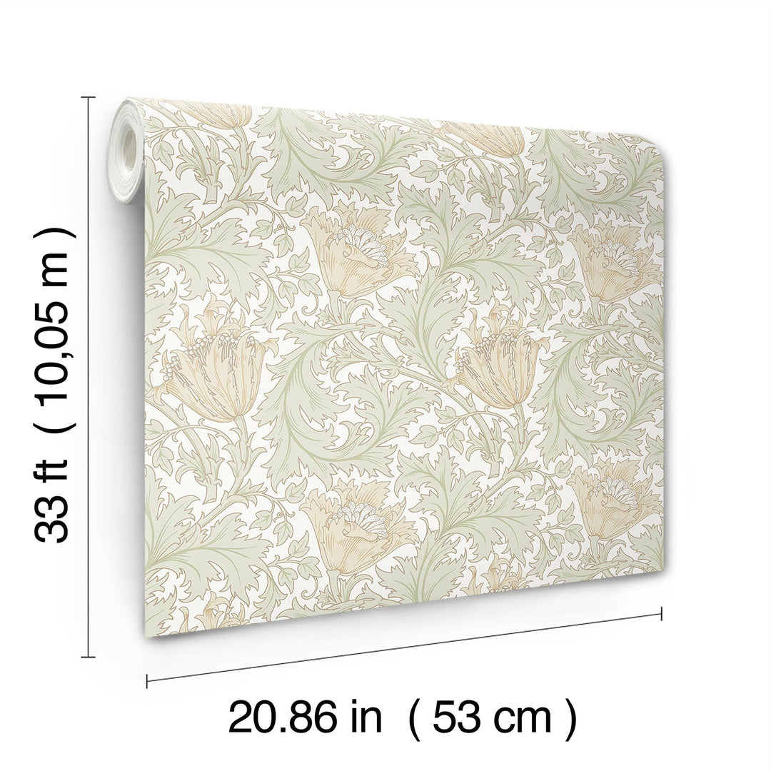 Anemone Light Green Floral Trail Wallpaper by A-Street Prints Designer