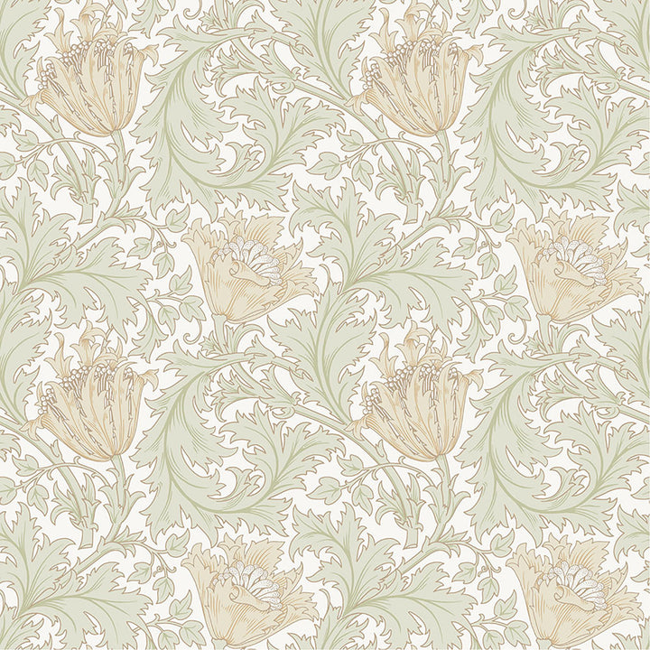 Anemone Light Green Floral Trail Wallpaper by A-Street Prints Hidden Treasures Covers about 57.5 square feet 20.9-in by 33-ft long roll Unpasted 10.4 - Fabric Carolina -