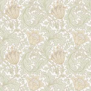 Anemone Light Green Floral Trail Wallpaper by A-Street Prints