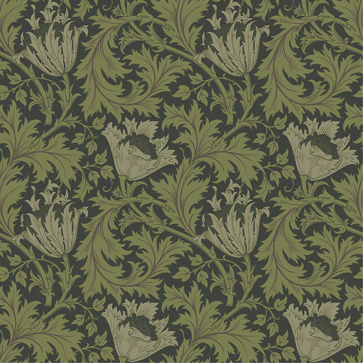 Anemone Dark Green Floral Trail Wallpaper by A-Street Prints Hidden Treasures Covers about 57.5 square feet 20.9-in by 33-ft long roll Unpasted 10.4 - Fabric Carolina -