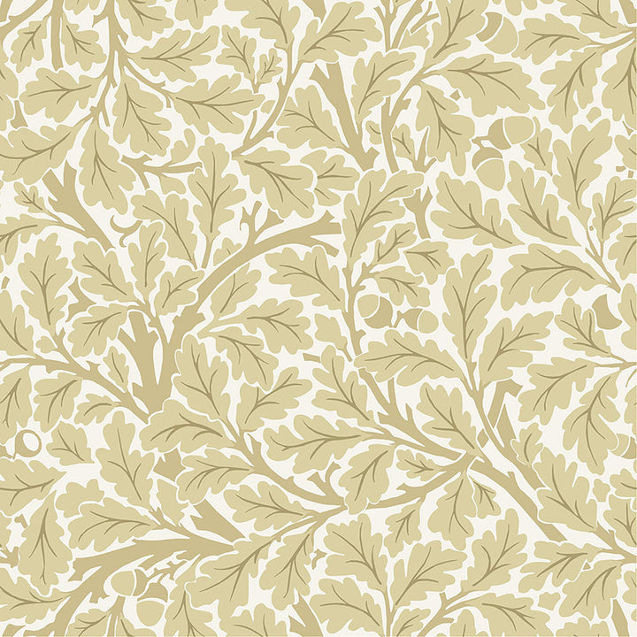 Oak Tree Light Yellow Leaf Wallpaper by A-Street Prints Hidden Treasures Covers about 57.5 square feet 20.9-in by 33-ft long roll Unpasted 20.9 - Fabric Carolina -