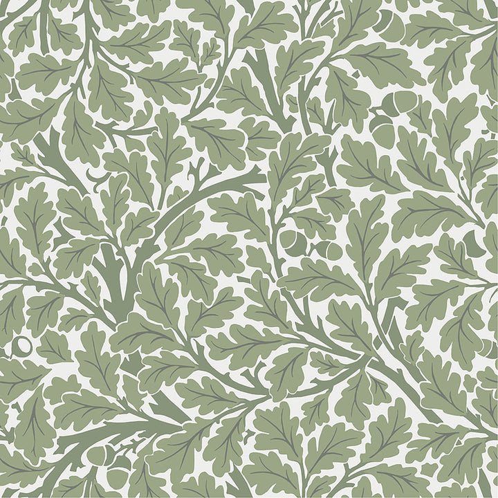 Oak Tree Green Leaf Wallpaper by A-Street Prints Hidden Treasures Covers about 57.5 square feet 20.9-in by 33-ft long roll Unpasted 20.9 - Fabric Carolina -