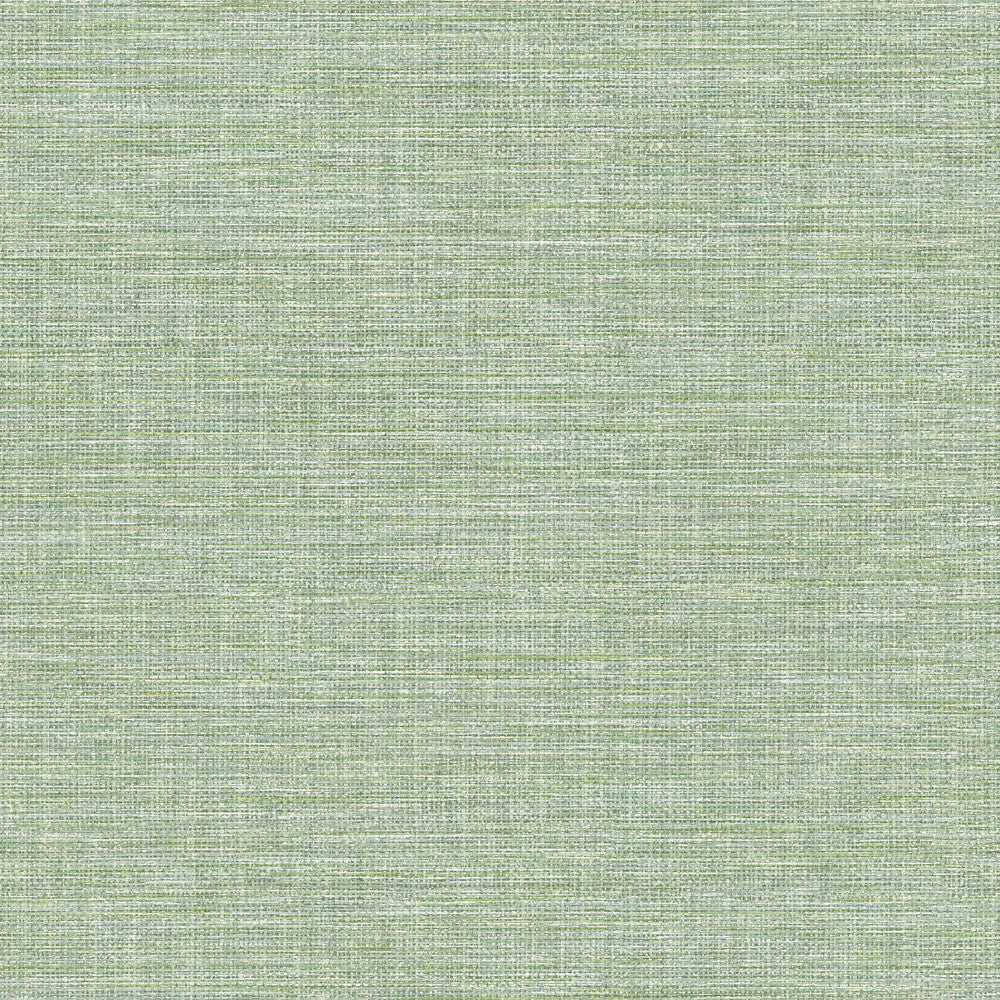 Exhale Light Green Faux Grasscloth Wallpaper by Advantage Curio Covers about 56.4 square feet 20.5-in by 33-ft long roll Unpasted 20.9 - Fabric Carolina -