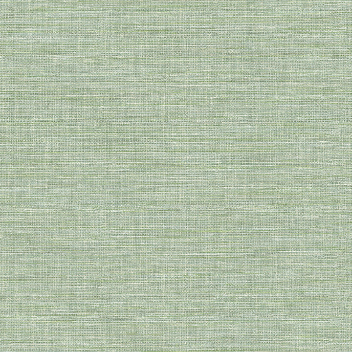 Exhale Light Green Faux Grasscloth Wallpaper by Advantage Curio Covers about 56.4 square feet 20.5-in by 33-ft long roll Unpasted 20.9 - Fabric Carolina -