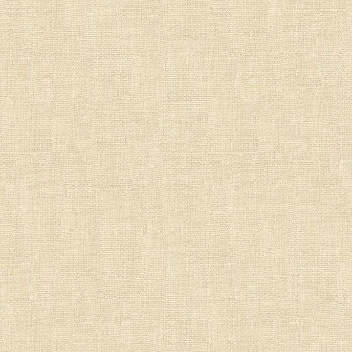 4161.1 by Kravet Contract Designer Fabric our website for purchase Polyester 100% Turkey see sample Horizontal: see sample and Vertical: see sample 118 inches - Swanky Fabrics -