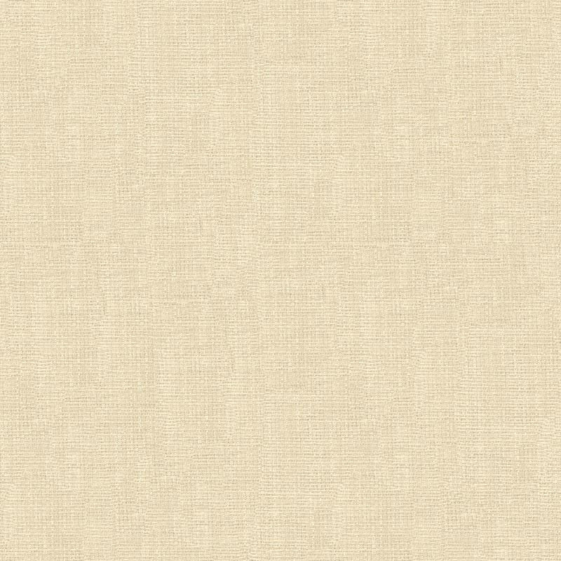 4161.1 by Kravet Contract Designer Fabric our website for purchase Polyester 100% Turkey see sample Horizontal: see sample and Vertical: see sample 118 inches - Swanky Fabrics -