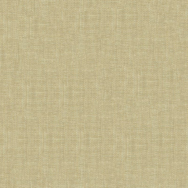 4161.1116 by Kravet Contract Designer Fabric our website for purchase Polyester 100% Turkey see sample Horizontal: see sample and Vertical: see sample 118 inches - Swanky Fabrics -