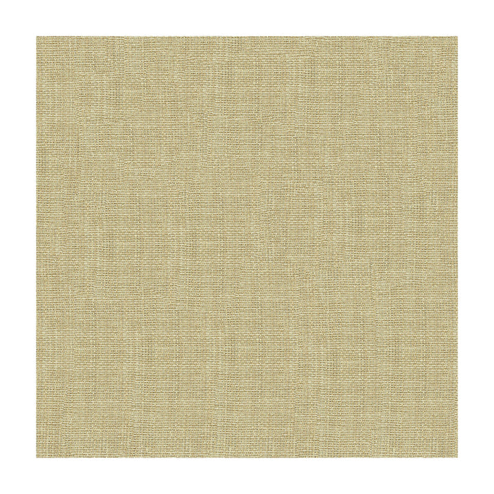 4161-1116 by Kravet Contract Designer Fabric - POLYESTER - 100% Turkey - Horizontal: - and Vertical: - 118 - Swanky Fabrics -
