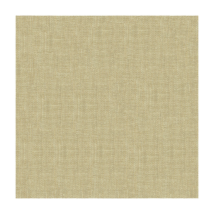 4161-1116 by Kravet Contract Fabric POLYESTER - 100% Turkey Horizontal: and Vertical: 118 - Fabric Carolina -