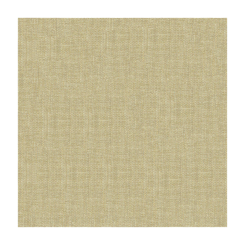 4161-1116 by Kravet Contract Fabric - POLYESTER - 100% Turkey - Horizontal: - and Vertical: - 118 - Fabric Carolina -