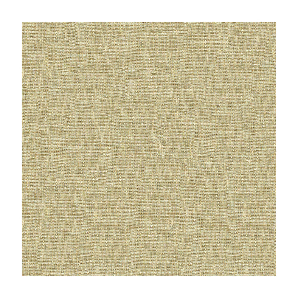 4161-1116 by Kravet Contract Designer Fabric POLYESTER - 100% Turkey Horizontal: and Vertical: 118 - Swanky Fabrics -