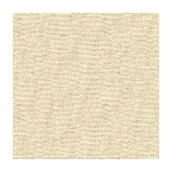 4161-1 by Kravet Contract Designer Fabric - POLYESTER - 100% Turkey - Horizontal: - and Vertical: - 118 - Swanky Fabrics -