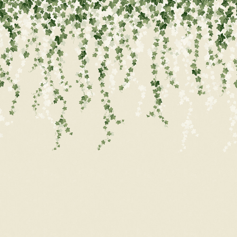 Trailing Ivy Green Wall Mural by Advantage Westbury Forest 19.6-in by 9.8-ft long roll Washable and strippable Unpasted 0 - Fabric Carolina -