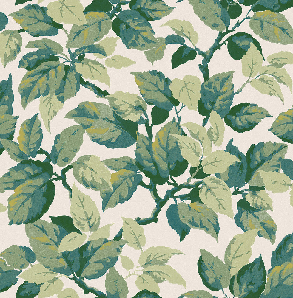 Canopy Green Leaf Wallpaper by Advantage Westbury Forest Covers about 56.4 square feet 20.5-in by 33-ft long roll Unpasted 20.9 - Fabric Carolina -