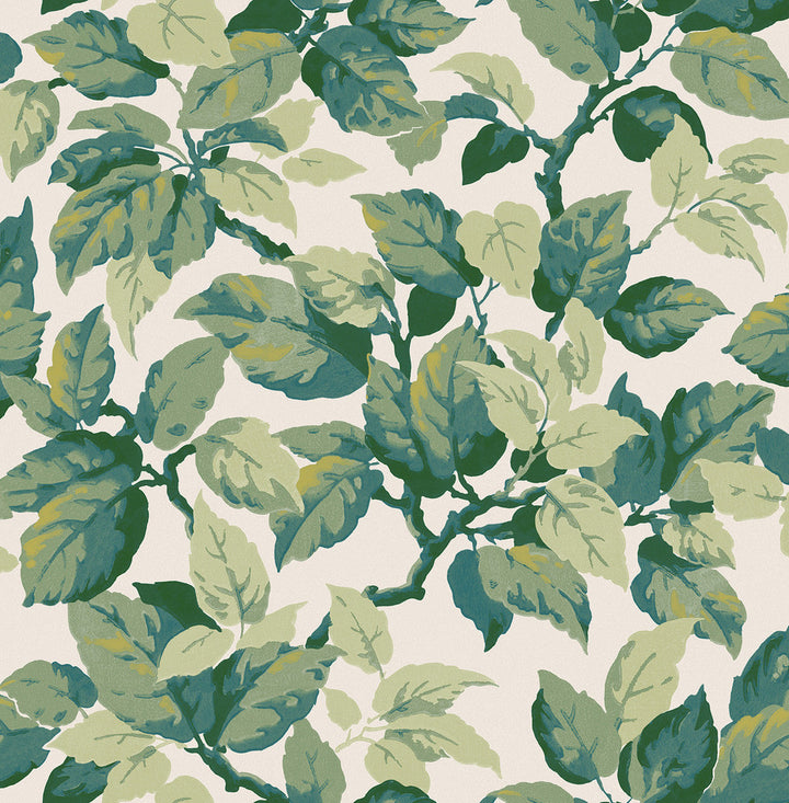Canopy Green Leaf Wallpaper by Advantage Westbury Forest Covers about 56.4 square feet 20.5-in by 33-ft long roll Unpasted 20.9 - Fabric Carolina -