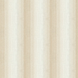 Kravet Contract 4165-1 by Kravet Contract Fabric