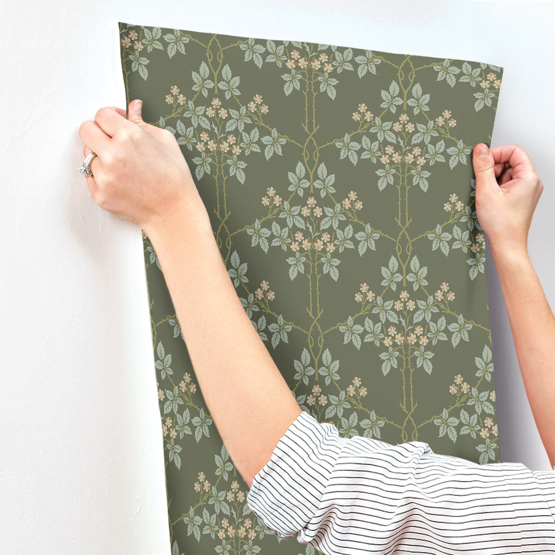 Blackberry Grey Vine Trellis Wallpaper by A-Street Prints Designer