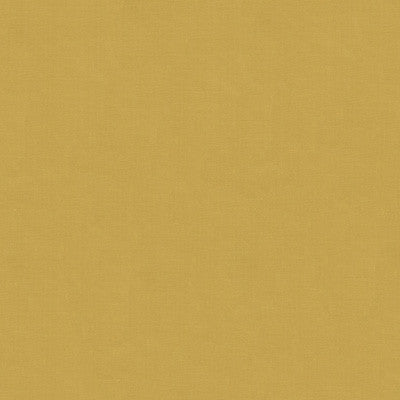 Beech Champagne by Kravet Design Fabric