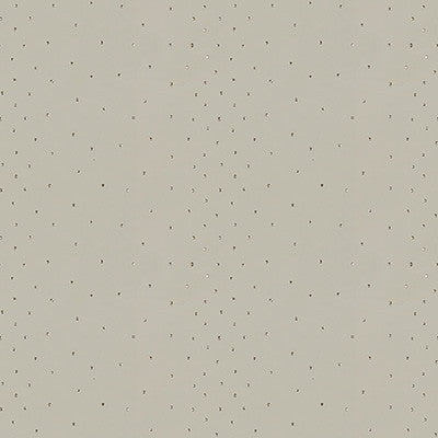 Sunstone Greige by Kravet Design Fabric