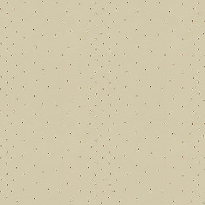 Sunstone Sand by Kravet Design Fabric