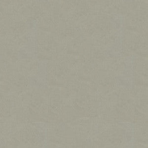 Zayn Greige by Kravet Design Fabric