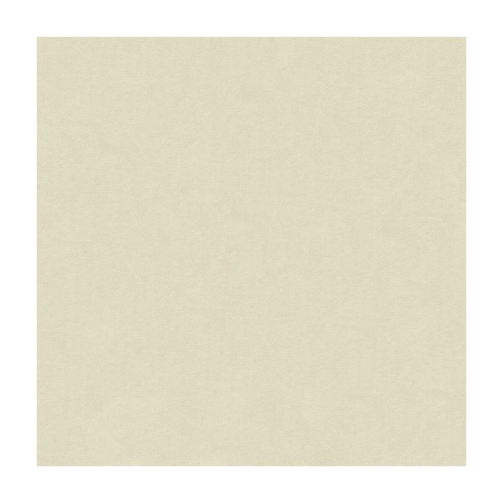 Zayn Greige by Kravet Design Fabric CANDICE OLSON COLLECTION POLYESTER - 100% India HEAVY Horizontal: - and Vertical: - 54 - Fabric Carolina -