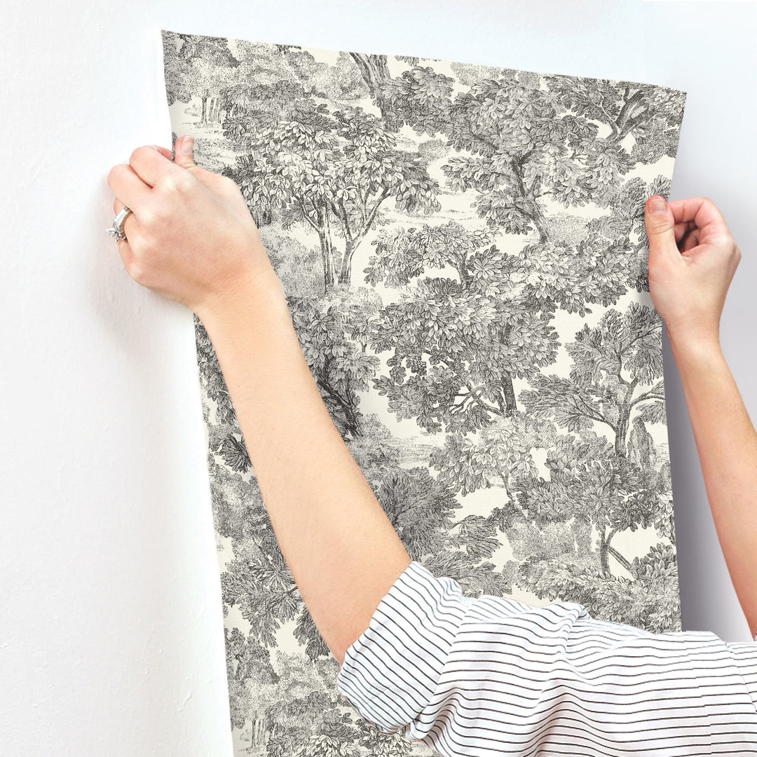 Spinney Black Toile Wallpaper by Chesapeake Designer