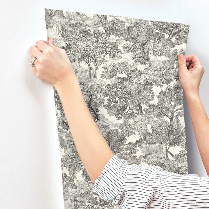 Spinney Black Toile Wallpaper by Chesapeake Designer