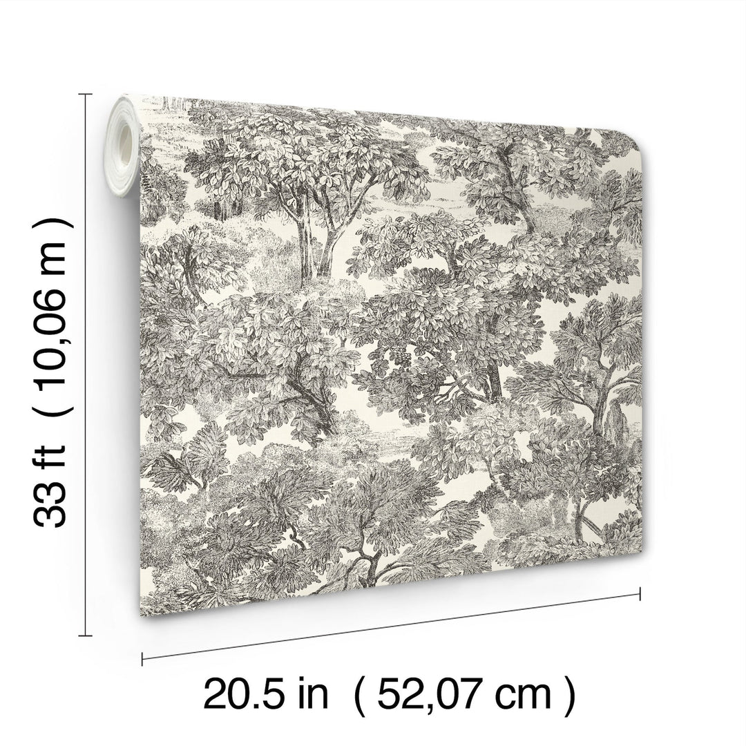 Spinney Black Toile Wallpaper by Chesapeake Designer