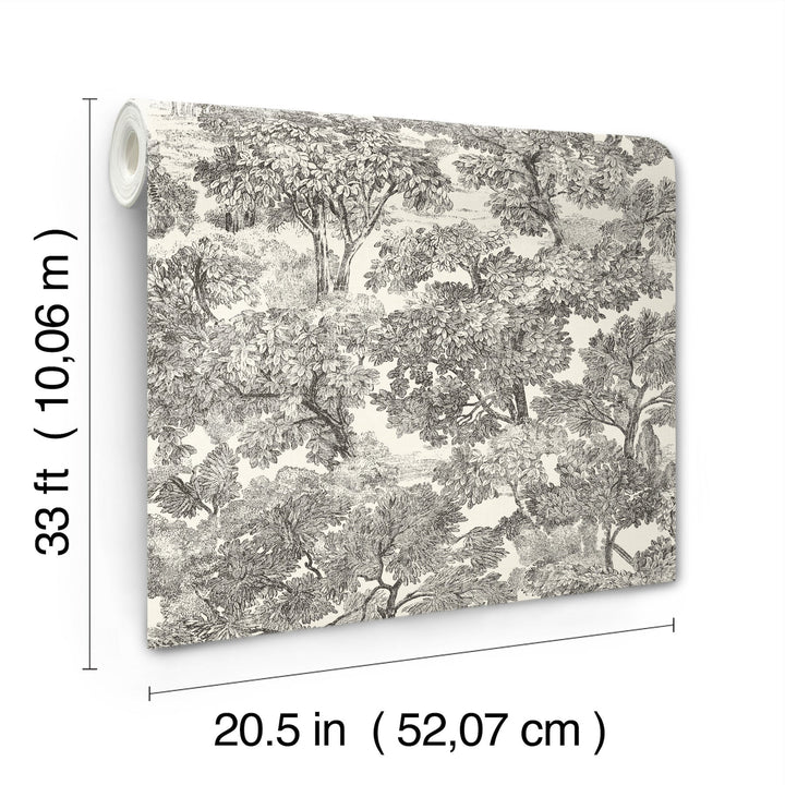 Spinney Black Toile Wallpaper by Chesapeake Designer