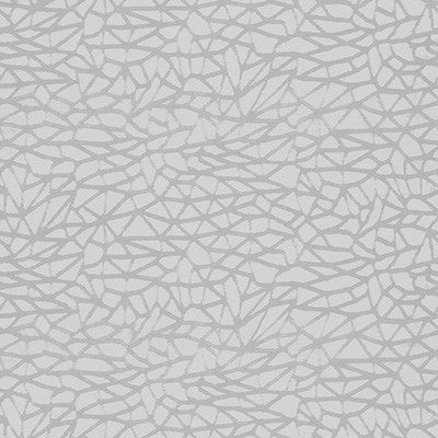 Remi Cloud by Kravet Design Fabric