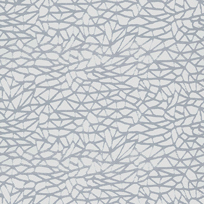 Remi Vapor by Kravet Design Fabric