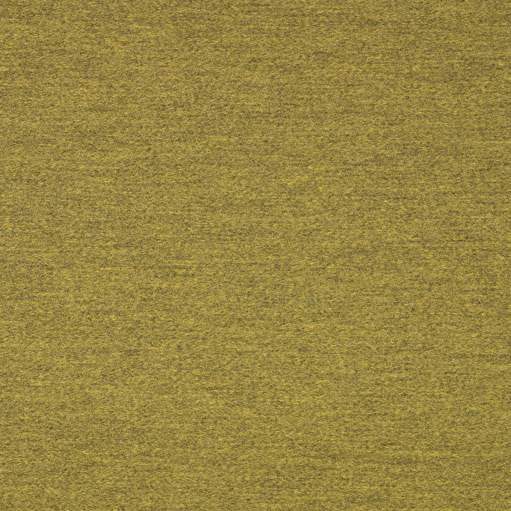 40501-0007 Pashmina Moss by Sunbrella Fabric Sunbrella Transcend Sunbrella® Acrylic, Sunbrella® Polyester USA or Imported 5-Year Horizontal: and Vertical: 60 yd. 54 in. - Fabric Carolina -