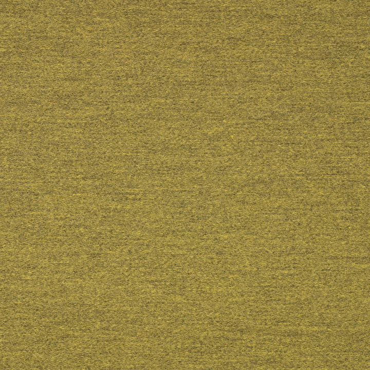 40501-0007 Pashmina Moss by Sunbrella Fabric Sunbrella Transcend Sunbrella® Acrylic, Sunbrella® Polyester USA or Imported 5-Year Horizontal: and Vertical: 60 yd. 54 in. - Fabric Carolina -