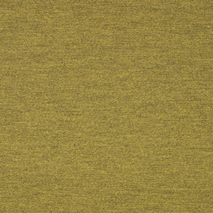 40501-0007 Pashmina Moss by Sunbrella Fabric Sunbrella Transcend Sunbrella® Acrylic, Sunbrella® Polyester USA or Imported 5-Year Horizontal: and Vertical: 60 yd. 54 in. - Fabric Carolina -