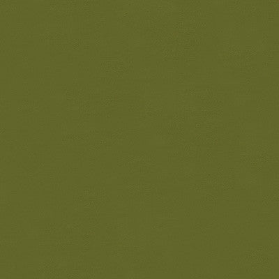 Luster Satin Fern by Kravet Contract Fabric