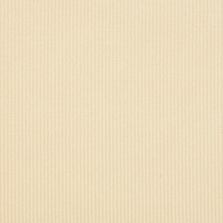 4204 Vanilla Stripe by Charlotte Fabric Elegance of Woven Velvet III 100% Woven Polyester Asia Exceeds 200,000 Wyzenbeek Rubs (Heavy Duty) No Repeat 54 Inches - Fabric Carolina -