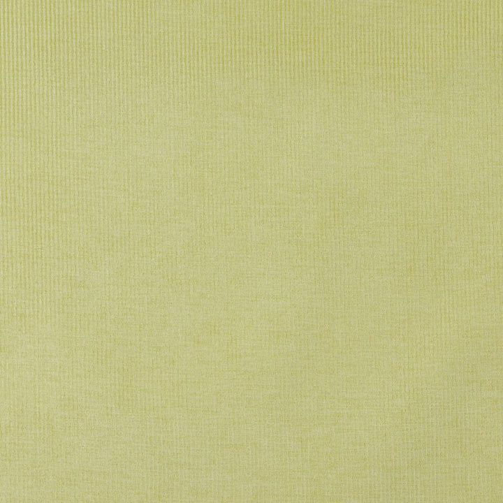 4207 Spring Stripe by Charlotte Fabric Elegance of Woven Velvet III 100% Woven Polyester Asia Exceeds 200,000 Wyzenbeek Rubs (Heavy Duty) No Repeat 54 Inches - Fabric Carolina -