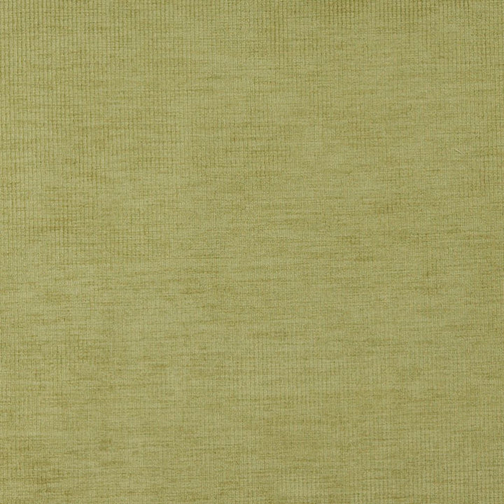 4212 Fern Stripe by Charlotte Fabric Elegance of Woven Velvet III 100% Woven Polyester Asia Exceeds 200,000 Wyzenbeek Rubs (Heavy Duty) No Repeat 54 Inches - Fabric Carolina -