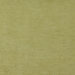 4212 Fern Stripe by Charlotte Fabric