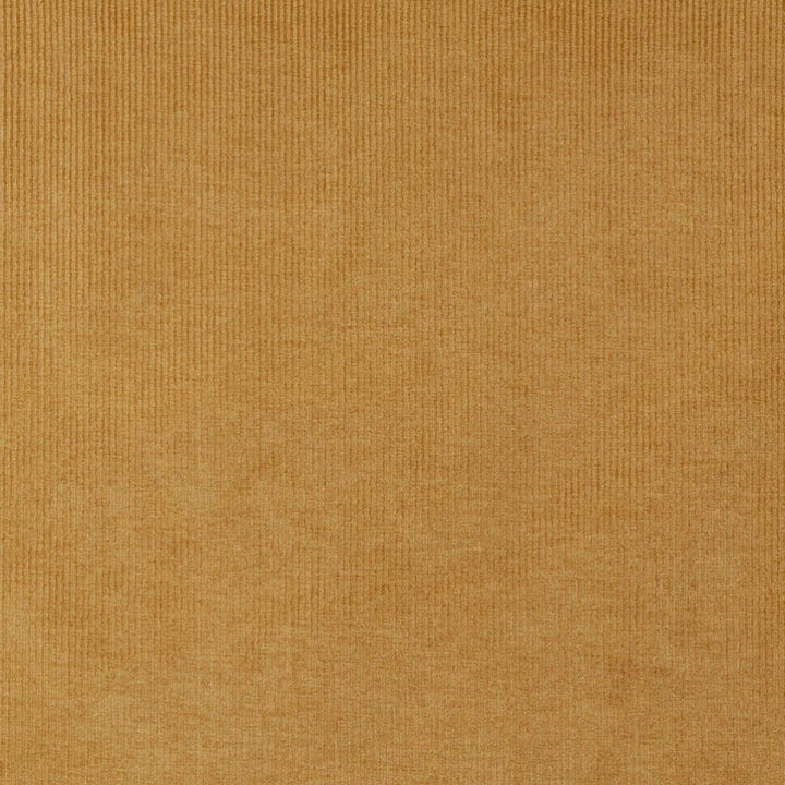 4214 Gold Stripe by Charlotte Fabric Elegance of Woven Velvet III 100% Woven Polyester Asia Exceeds 200,000 Wyzenbeek Rubs (Heavy Duty) No Repeat 54 Inches - Fabric Carolina -