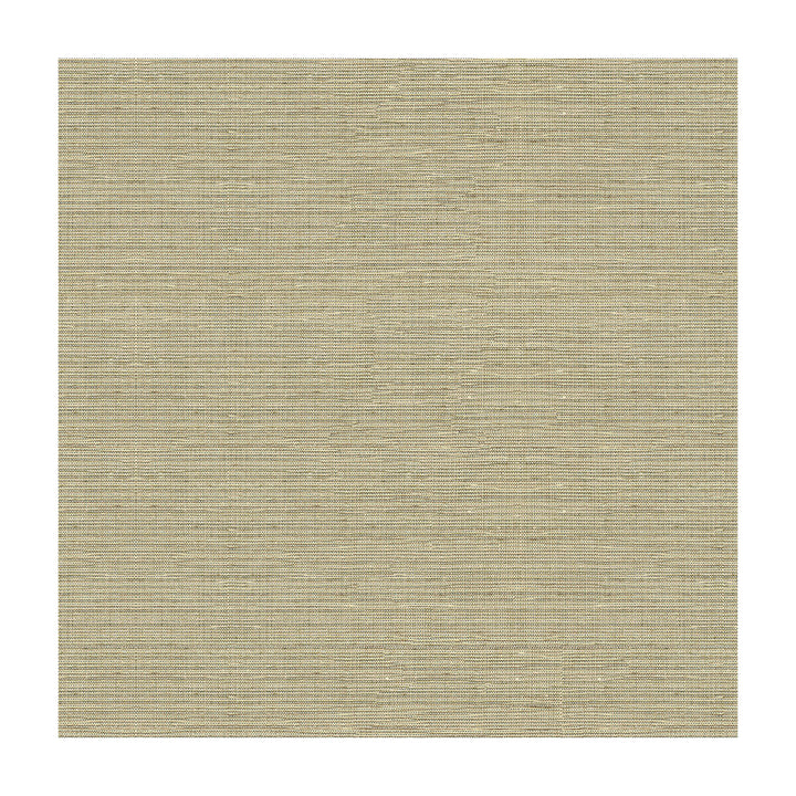 4216-1121 by Kravet Design Fabric - POLYESTER - 96%;VISCOSE - 4% Turkey - Horizontal: - and Vertical: - 59 - Fabric Carolina -